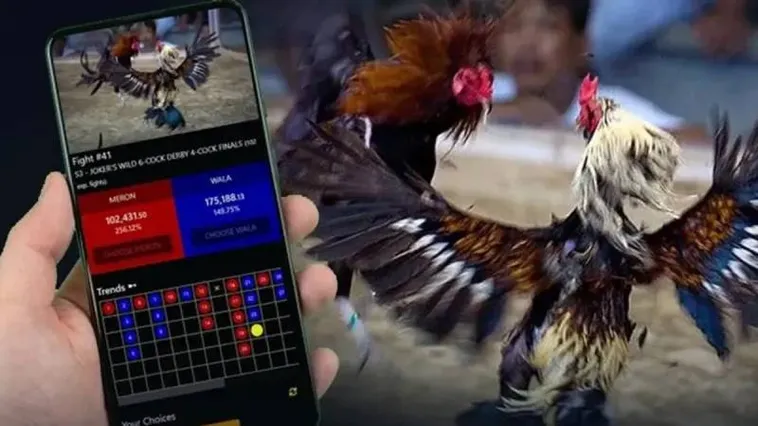 Cùng Khám Phá Thế Giới Đá Gà New88 Vô Cùng Hấp Dẫn