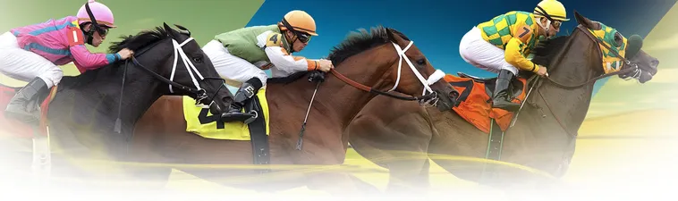 Khám Phá Thế Giới Cá Cược Đua Ngựa New88 Đầy Kịch Tính